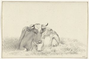 Vache couchée, de face - Jean Bernard