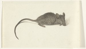 Souris, vers la droite