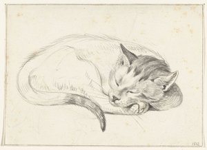 Chat endormi enroulé - Jean Bernard