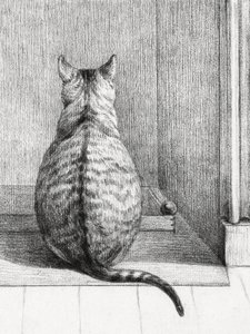 Chat assis, vu de dos (1812)