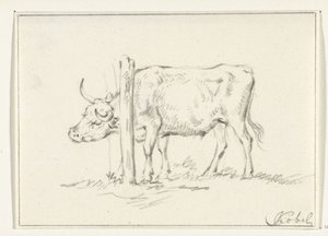 Vache debout, avec la tête entre des poteaux - Jean Bernard