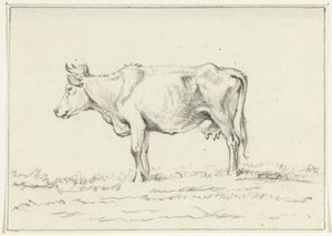 Vache debout, vers la gauche - Jean Bernard