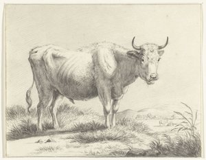 Vache debout, vers la droite - Jean Bernard