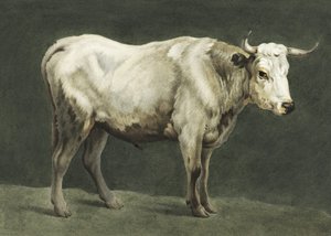Tableau représentant Standing Bull - Jean Bernard