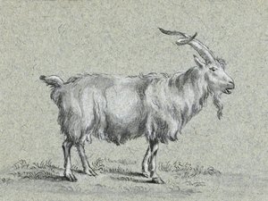 Chèvre debout, par Jean Bernard