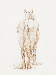 Cheval debout (1815) de Jean Bernard - Jean Bernard
