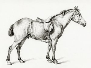 Cheval debout, de Jean Bernard (1775-1883) - Jean Bernard