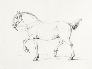 Stepping Horse (1775-1833) - Jean Bernard
