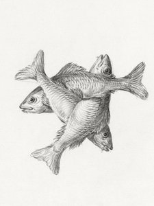 Three Fishes (1775-1833) - Jean Bernard