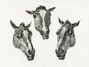 Trois têtes de cheval (1812) - Jean Bernard