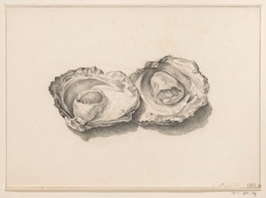 Deux huîtres ouvertes - Jean Bernard