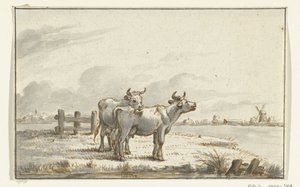 Deux vaches dans le pré