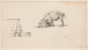 Cochon, une cabane et une esquisse de clôture