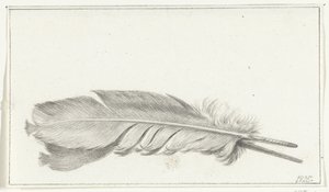 Plume - Jean Bernard