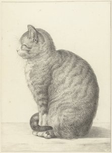 Chat assis, vers la gauche