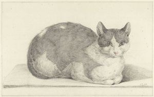 Chat assis, vers la droite - Jean Bernard