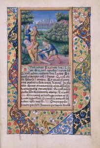 Ms Lat. Q.v.I.126 fol.17 L