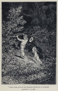 « Devant eux, poussaient les plus belles mûres en quantités merveilleuses » (gravure) - Jean Edouard Dargent