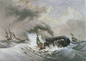 La baleine