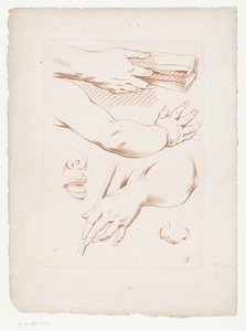 Composition avec bras, nez et partie d