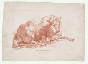 Mouton couché