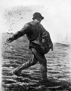 Le Semeur, vers 1850, 1913 - Jean Francois Millet