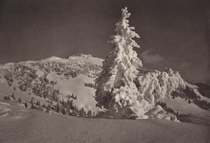 Rigi Kaltbad, domaine skiable jusqu