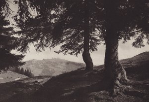 Rigi Staffel, Spazierweg bei Staffel - Jean Gaberell