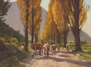 Suisse : La vallée du Rhône près de Visp