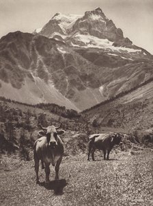 Suisse : Le Tödi