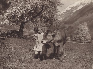 Suisse : La jeune génération