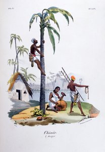 Chanar, 1828 - Jean Henri Marlet