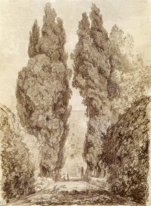 Grands cyprès à la Villa d