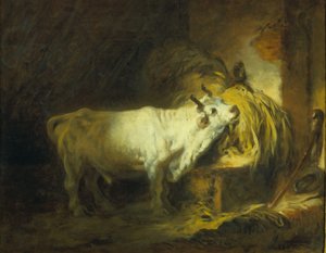 Le taureau blanc dans l
