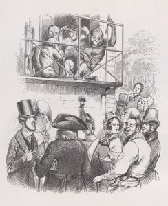 Orang-outans des Œuvres complètes de Béranger, 1836 - Jean Ignace Isidore Gérard