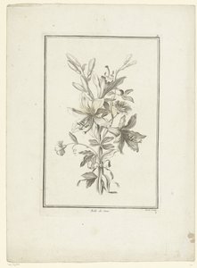 Bouquet avec lys - Jean Jacques Avril (I)
