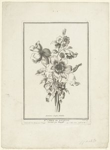Bouquet d