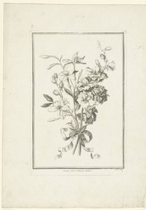 Bouquet de jasmin et de pied d