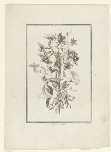 Bouquet de narcisses et volubilis - Jean Jacques Avril (I)