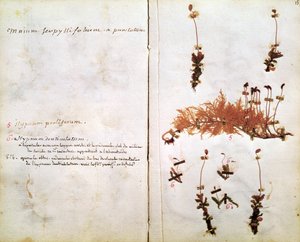Page 15 d