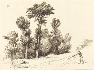 Petit bosquet au chasseur