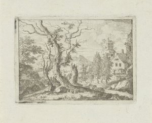 Trois arbres morts sur une colline