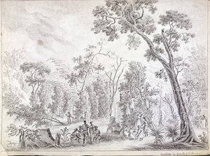 Récolte des clous de girofle à La Réunion, début du XIXe siècle - Jean Joseph Patu de Rosemont