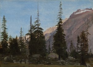 Paysage alpin : La Handegg, Suisse