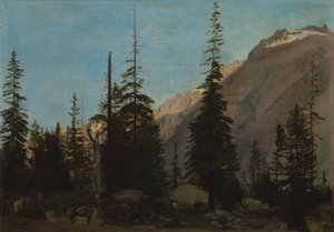 Paysage alpin : La Handegg, Suisse