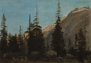 Paysage alpin : La Handegg, Suisse, années 1850