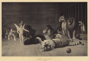 Apprivoisé par Cupidon