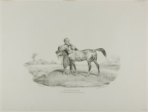 Un cheval arabe, planche 8 de divers sujets dessinés d