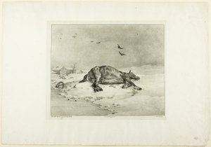 Cheval mort - Jean Louis André Théodore Géricault