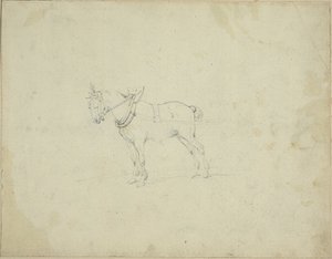 Cheval de trait - Jean Louis André Théodore Géricault